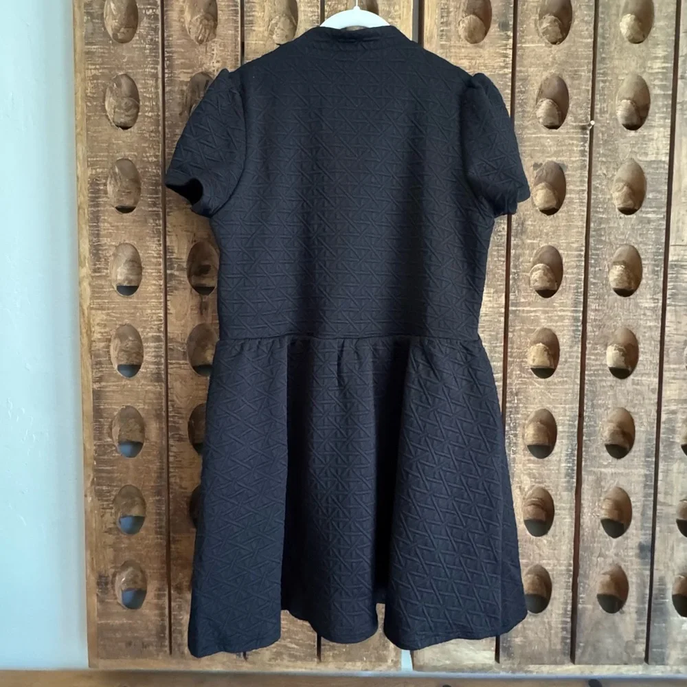 SSYS Black Lainey Fit and Flare Skater Mini Dress Size L NWT - Picture 3 of 5